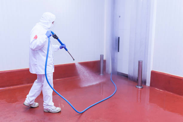 Best Post-Construction Pressure Washing  in South Browning, MT